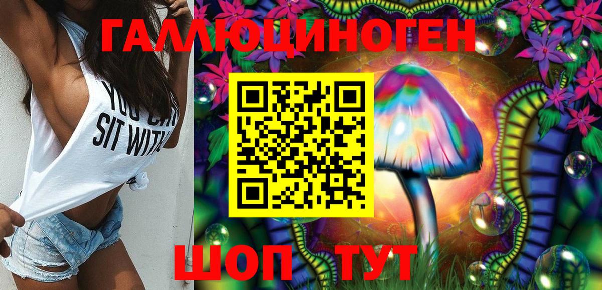 Орёл  Псилоцибиновые грибы Cubensis  Вход с VPN 